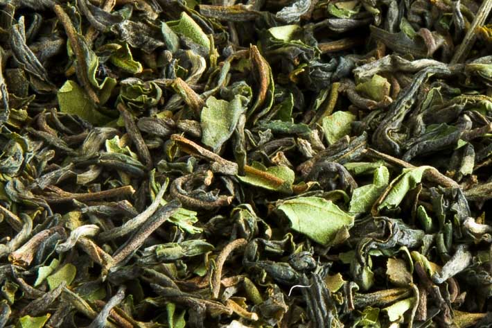 Assam Oodlabari - detail listu