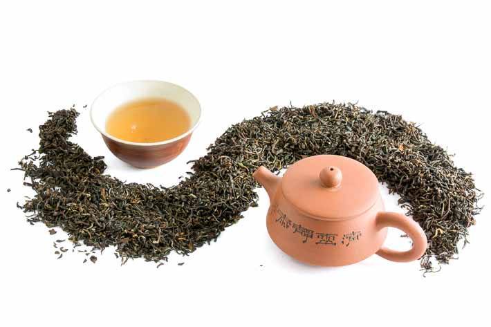 Darjeeling Oaks