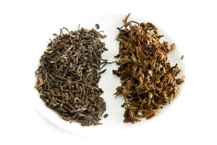 Darjeeling Oaks - suchý a mokrý list