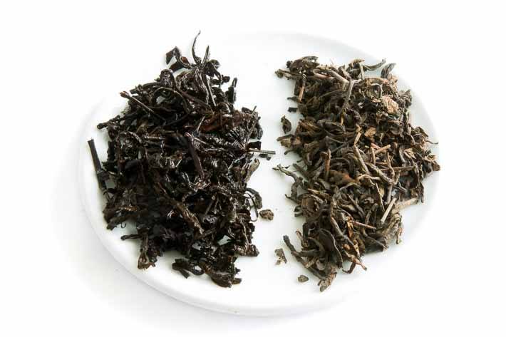 Zapomenutý puerh - suchý a mokrý list